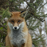 DSC_0004.jpg