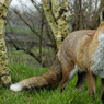 DSC_0015.jpg
