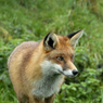 DSC_0020.jpg