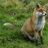 DSC_0023_2.jpg