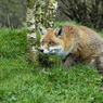 DSC_0327.jpg