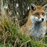 DSC_0362.jpg