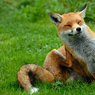 DSC_0454.jpg