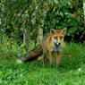 DSC_0544.jpg