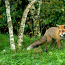 DSC_0545.jpg