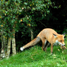 DSC_0574.jpg