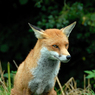 DSC_0576.jpg