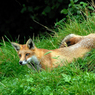 DSC_0589.jpg