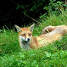 DSC_0590.jpg