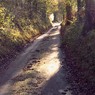ChequersLane1copy.jpg