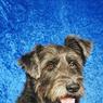 033MichelleSpurr-Hatti.jpg