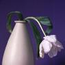 102MaryFisher-WeepingWhite.jpg