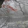 04RodMorrod-ASplashofRed.jpg