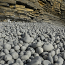DSC_0352.jpg