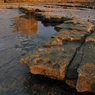 _DSC0937crop.jpg
