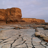 _DSC0941.jpg