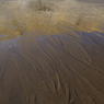 _DSC2411crop.jpg