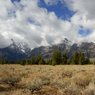 DSC_0466.jpg