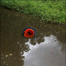 Cone.jpg