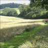 PathnearRotherfieldGreys.jpg
