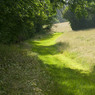 PathnearRotherfieldGreys2.jpg