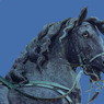 CopperHorse2-SteveMundy.jpg