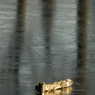 DSC_0291.jpg