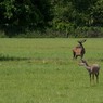 GreatParkJune09-1.jpg