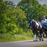 GreatParkJune09-5.jpg