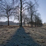 Landscape-MK.jpg