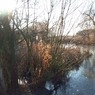 SwanPond2MDeaman.jpg