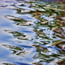 20090616-245-Edit.jpg