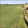 FieldedgeRockwellEnd.jpg