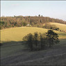 EveninglightonRidgeWoodandThamesValley.jpg