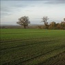 AshleyandBowseyHillsfromWarfield2.jpg