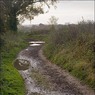 LaneBracknellindistance2.jpg