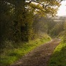 LanenearWarfield.jpg