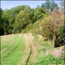 OxfordshireWayleavingHenley.jpg