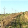 PathtoMertonsHoleCottage.jpg