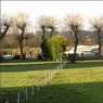 WillowsatHenleySailingClubTemple.jpg