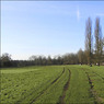 ThamesPath.jpg