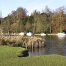 ThamesbelowDanesfieldHotel.jpg
