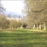 PathnearStubbingsHouse.jpg