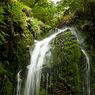 Dhoon_glen-2resize.jpg