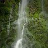 Dhoon_glen-3resize.jpg