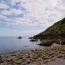 Dhoon_glen-6resize.jpg
