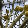 120107_0002.jpg