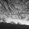 120107_0095.jpg