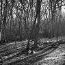 120107_0097.jpg