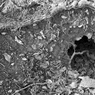 120107_0104.jpg